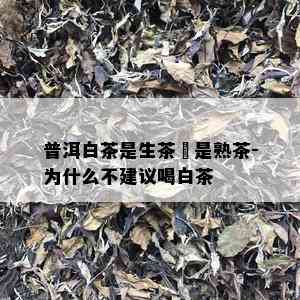 普洱白茶是生茶還是熟茶-为什么不建议喝白茶