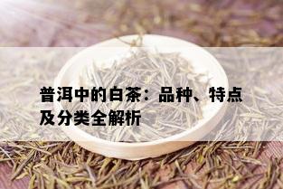 普洱中的白茶：品种、特点及分类全解析