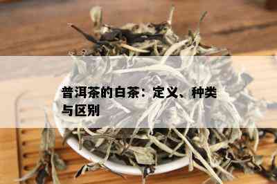 普洱茶的白茶：定义、种类与区别