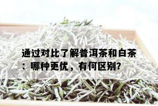 通过对比了解普洱茶和白茶：哪种更优，有何区别？