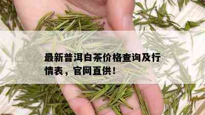 最新普洱白茶价格查询及行情表，官网直供！