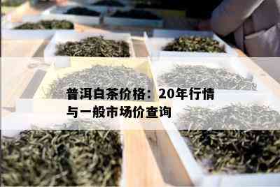 普洱白茶价格：20年行情与一般市场价查询