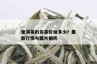 普洱茶的白茶价格多少？最新行情与图片解析