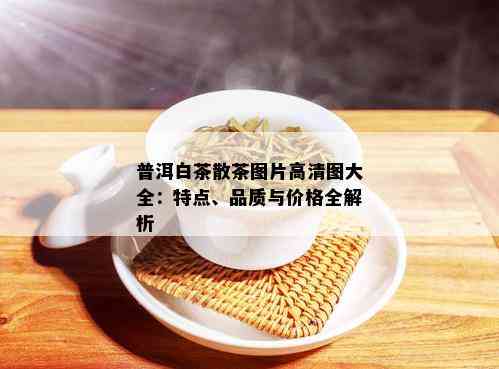 普洱白茶散茶图片高清图大全：特点、品质与价格全解析