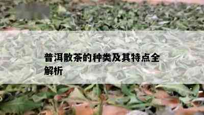 普洱散茶的种类及其特点全解析