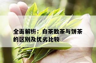 全面解析：白茶散茶与饼茶的区别及优劣比较