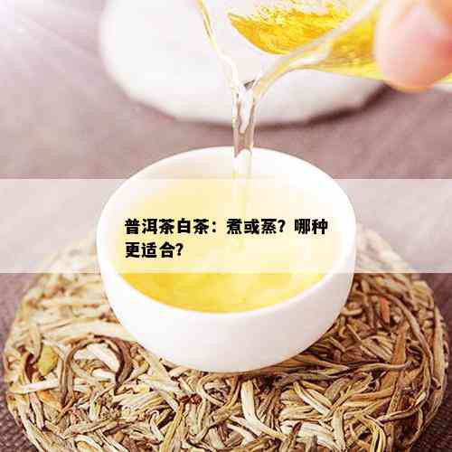 普洱茶白茶：煮或蒸？哪种更适合？