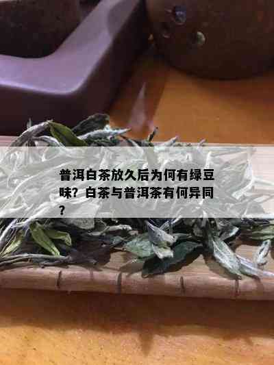 普洱白茶放久后为何有绿豆味？白茶与普洱茶有何异同？