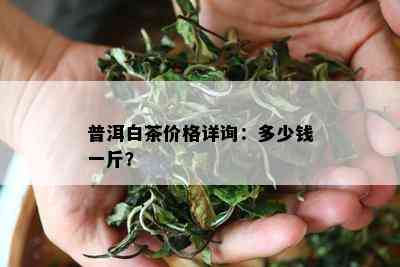 普洱白茶价格详询：多少钱一斤？