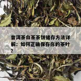 普洱茶白茶茶饼储存方法详解：如何正确保存你的茶叶？