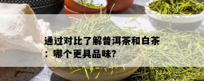 通过对比了解普洱茶和白茶：哪个更具品味?