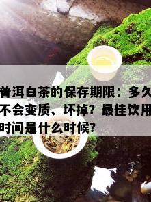 普洱白茶的保存期限：多久不会变质、坏掉？更佳饮用时间是什么时候？