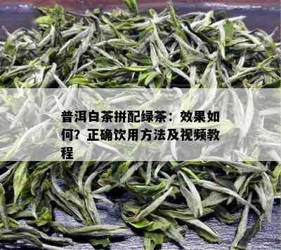 普洱白茶拼配绿茶：效果如何？正确饮用方法及视频教程