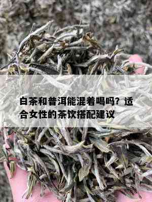 白茶和普洱能混着喝吗？适合女性的茶饮搭配建议