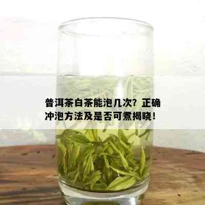 普洱茶白茶能泡几次？正确冲泡方法及是否可煮揭晓！