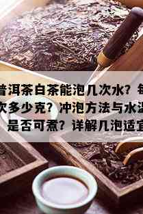 普洱茶白茶能泡几次水？每次多少克？冲泡方法与水温，是否可煮？详解几泡适宜。