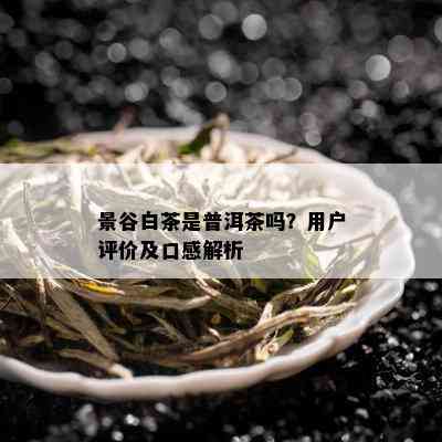 景谷白茶是普洱茶吗？用户评价及口感解析