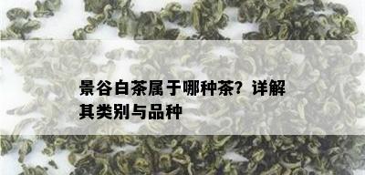 景谷白茶属于哪种茶？详解其类别与品种