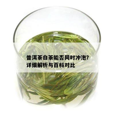 普洱茶白茶能否同时冲泡？详细解析与百科对比