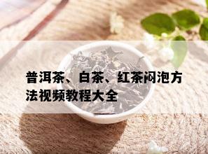 普洱茶、白茶、红茶闷泡方法视频教程大全