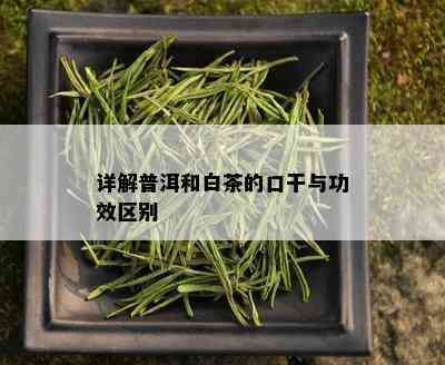 详解普洱和白茶的口干与功效区别