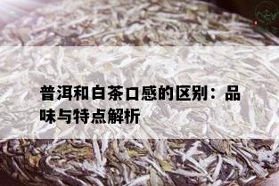 普洱和白茶口感的区别：品味与特点解析