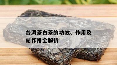 普洱茶白茶的功效、作用及副作用全解析