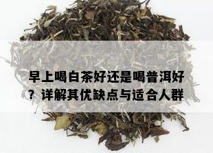 早上喝白茶好还是喝普洱好？详解其优缺点与适合人群