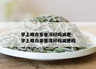 早上喝白茶普洱好吗减肥-早上喝白茶普洱好吗减肥吗