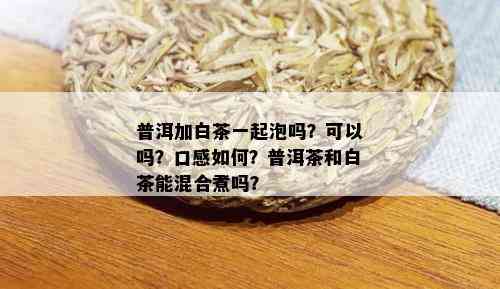 普洱加白茶一起泡吗？可以吗？口感如何？普洱茶和白茶能混合煮吗？