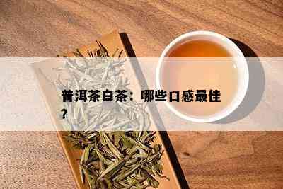 普洱茶白茶：哪些口感更佳？