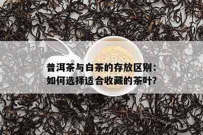 普洱茶与白茶的存放区别：如何选择适合收藏的茶叶？