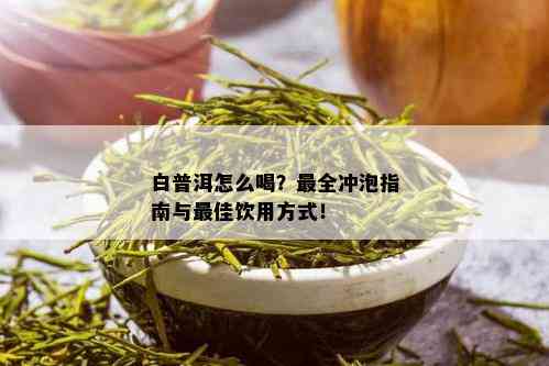 白普洱怎么喝？最全冲泡指南与更佳饮用方式！