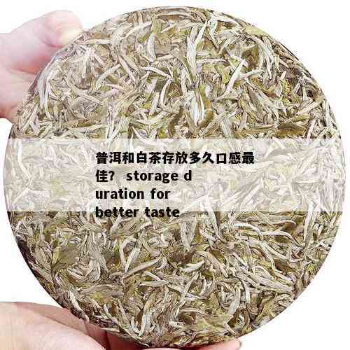 普洱和白茶存放多久口感更佳？ storage duration for better taste