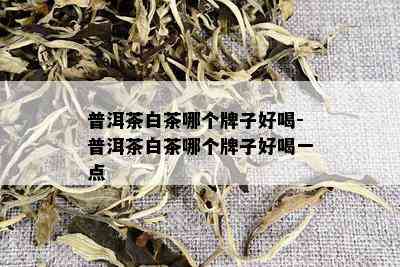 普洱茶白茶哪个牌子好喝-普洱茶白茶哪个牌子好喝一点