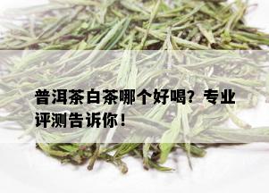 普洱茶白茶哪个好喝？专业评测告诉你！