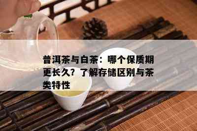 普洱茶与白茶：哪个保质期更长久？了解存储区别与茶类特性