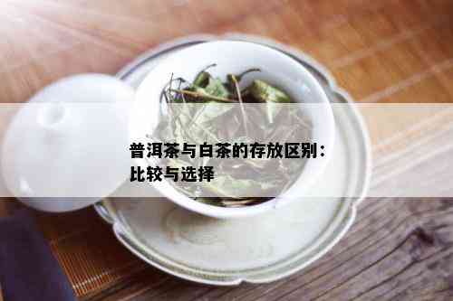 普洱茶与白茶的存放区别：比较与选择