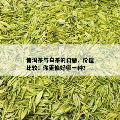 普洱茶与白茶的口感、价值比较：你更偏好哪一种？