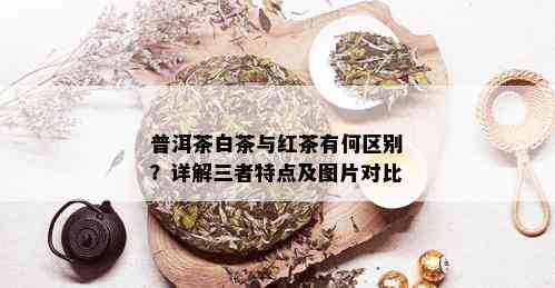 普洱茶白茶与红茶有何区别？详解三者特点及图片对比