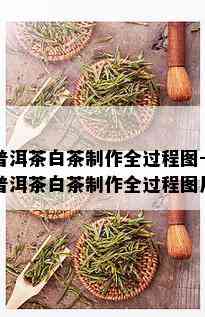 普洱茶白茶制作全过程图-普洱茶白茶制作全过程图片