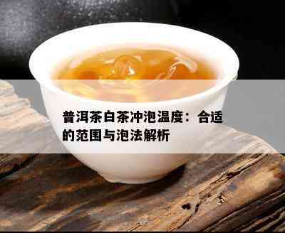 普洱茶白茶冲泡温度：合适的范围与泡法解析