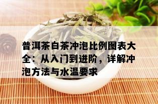 普洱茶白茶冲泡比例图表大全：从入门到进阶，详解冲泡方法与水温要求