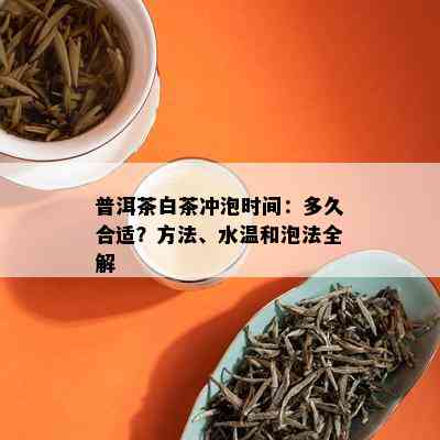 普洱茶白茶冲泡时间：多久合适？方法、水温和泡法全解