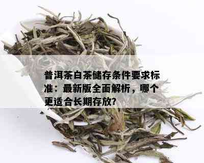 普洱茶白茶储存条件要求标准：最新版全面解析，哪个更适合长期存放？