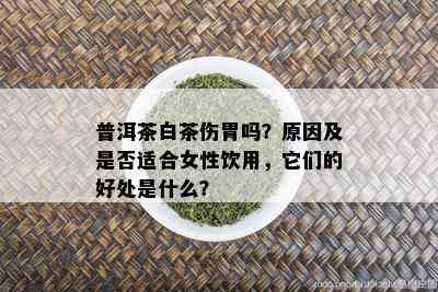 普洱茶白茶伤胃吗？原因及是否适合女性饮用，它们的好处是什么？