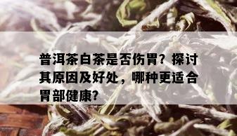 普洱茶白茶是否伤胃？探讨其原因及好处，哪种更适合胃部健康？