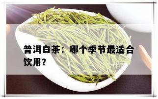 普洱白茶：哪个季节最适合饮用？