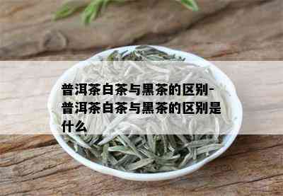 普洱茶白茶与黑茶的区别-普洱茶白茶与黑茶的区别是什么