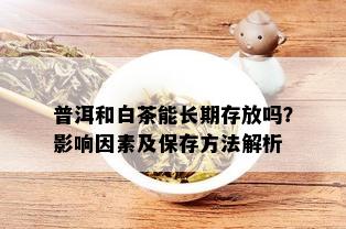 普洱和白茶能长期存放吗？影响因素及保存方法解析